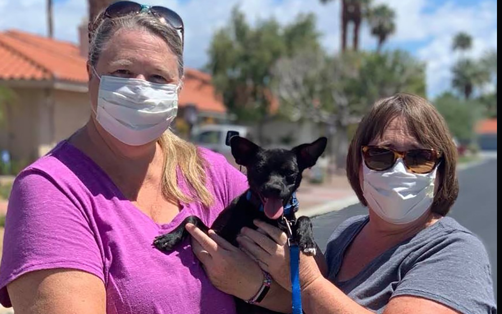 Animal Samaritans brings changes to Coachella Valley animal care
