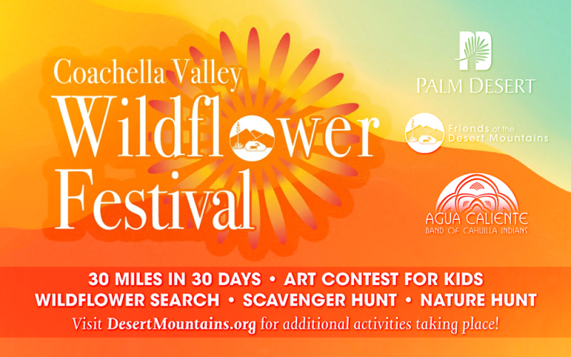 Wildflower Festival Blooms Coachella Valley Weekly